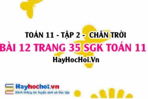 Bài 12 trang 35 Toán 11 tập 2 Chân trời sáng tạo